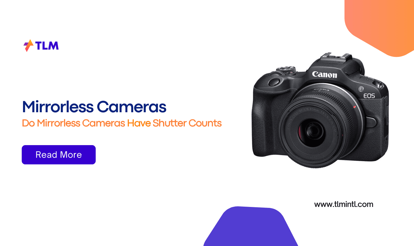Do Mirrorless Cameras Have Shutter Counts? Explained