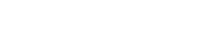 Lightwave-Logo