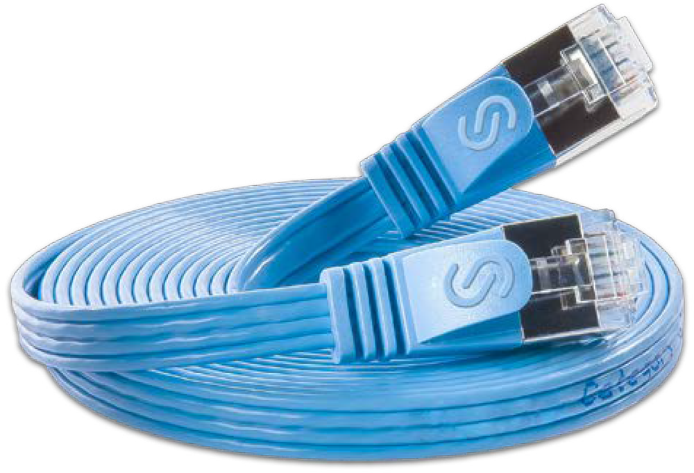 Blue Ethernet cable with clear RJ45 connectors, coiled and ready for network connection use.