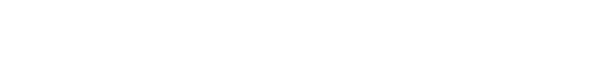 logoteam-White
